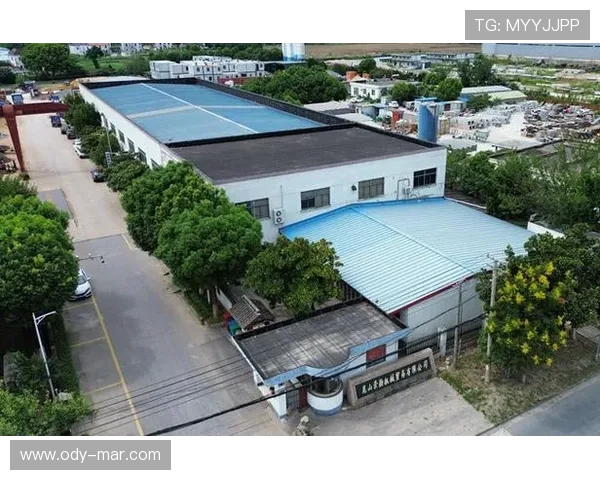 k8凯发会员等级划分及升级条件详解助你快速提升会员等级获得更多权益